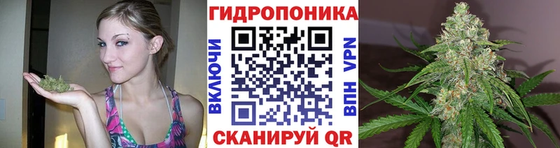 Бошки Шишки AK-47  что такое   Полысаево 